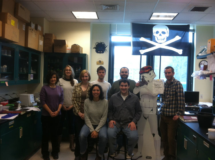 karatanlab 2012